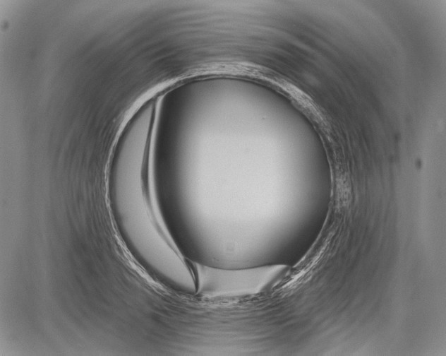 X0000081560846200702051147