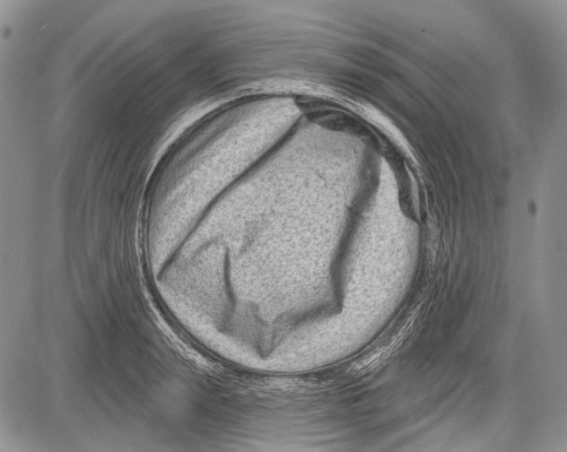 X0000081560847200702051147