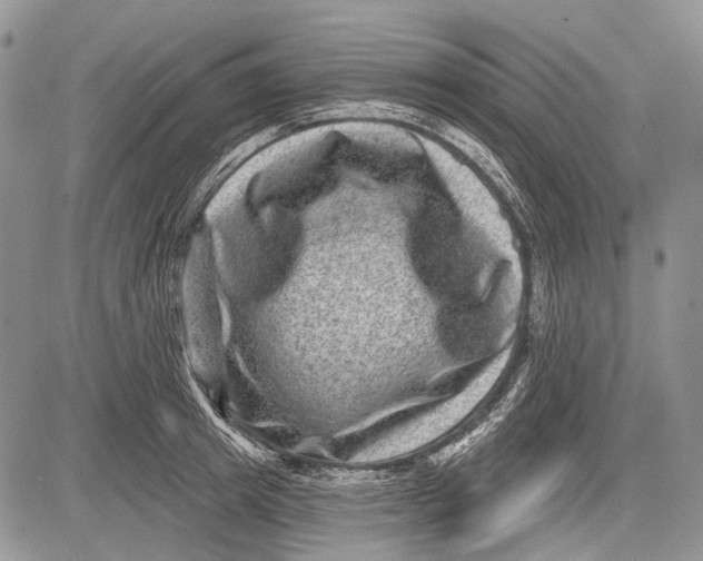 X0000081560849200702051147