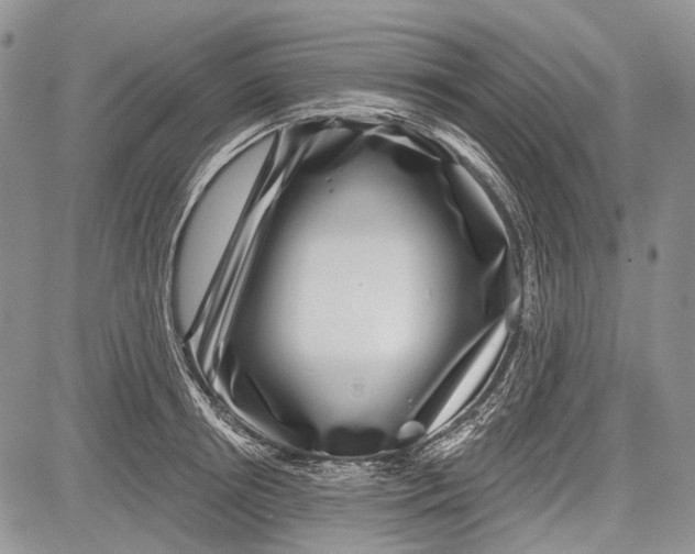 X0000081560850200702051147