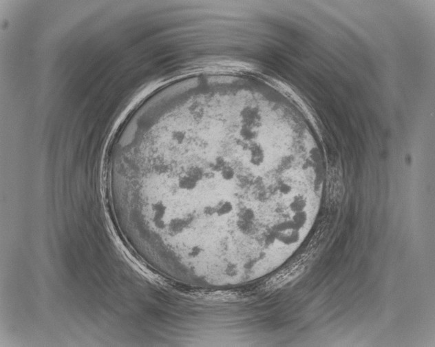 X0000081560851200702051147