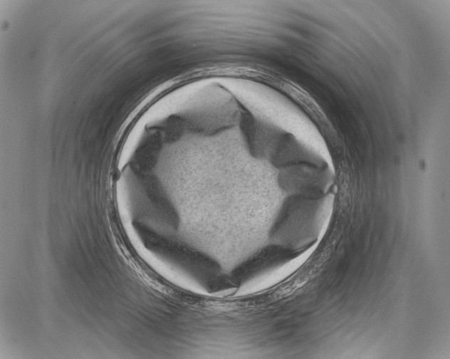 X0000081560852200702051147