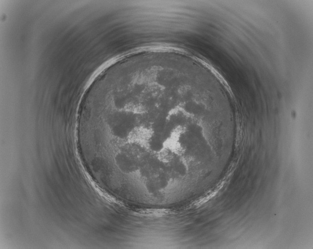 X0000081560853200702051147