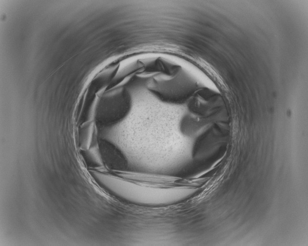 X0000081560854200702051147