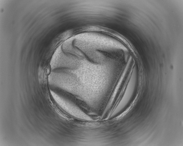 X0000081560857200702051147