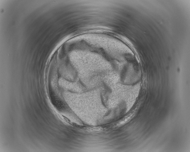 X0000081560859200702051147