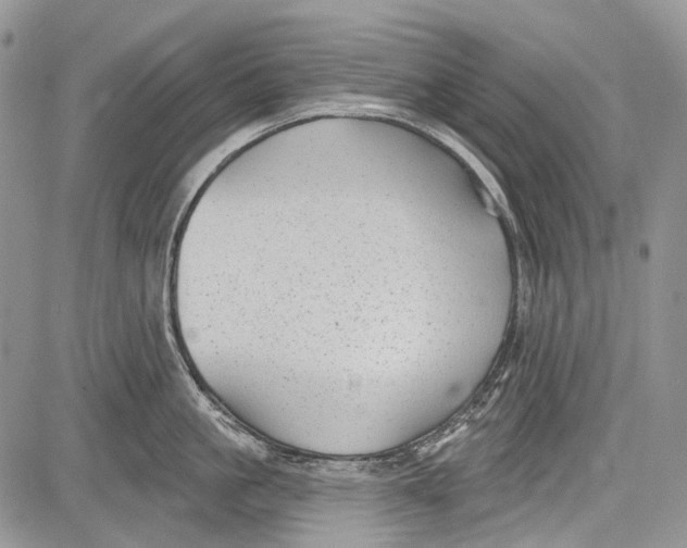 X0000081560861200702051147