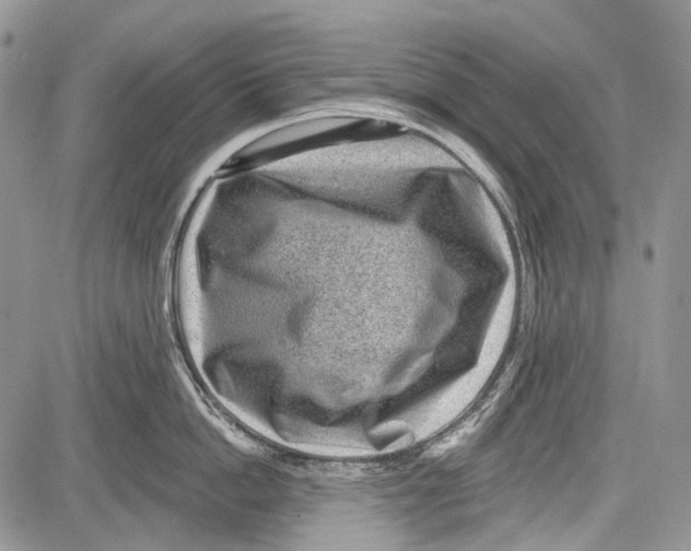 X0000081560862200702051147