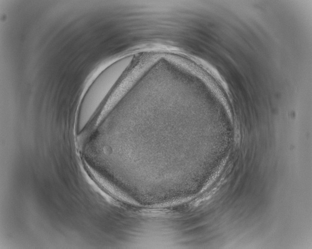 X0000081560863200702051147