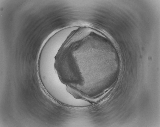 X0000081560864200702051147