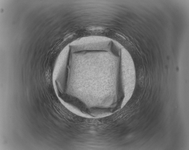 X0000081560866200702051147