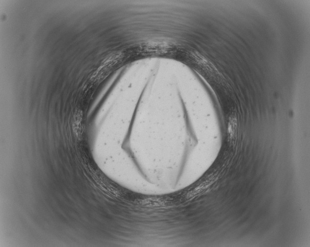 X0000081560867200702051147