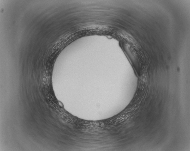 X0000081560869200702051147