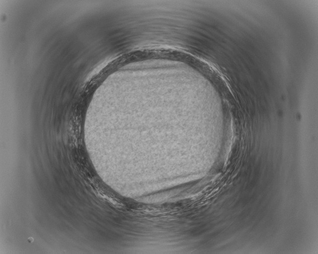 X0000081560871200702051147