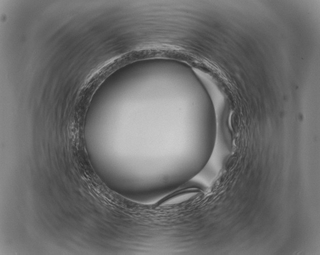 X0000081560872200702051147