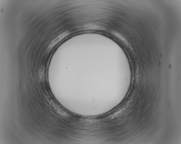 X0000081560873200702051146