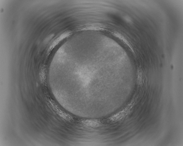 X0000081560874200702051146