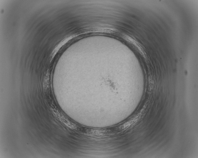 X0000081560875200702051146