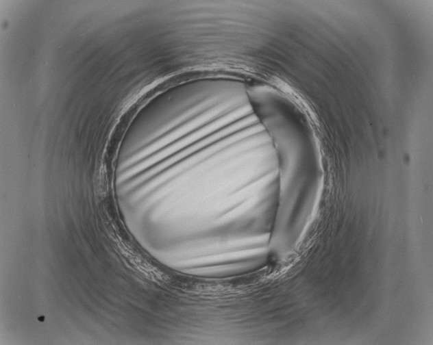 X0000081560876200702051146