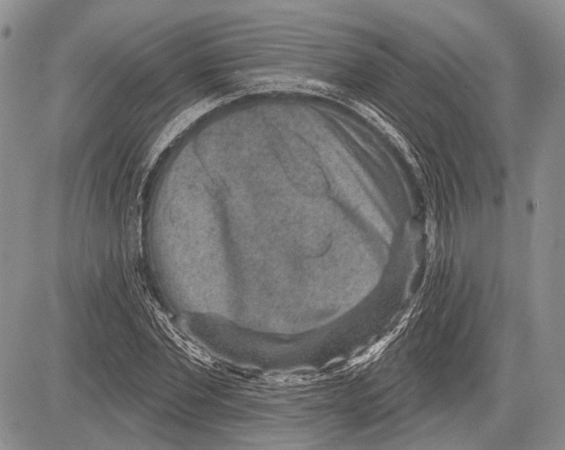 X0000081560877200702051146