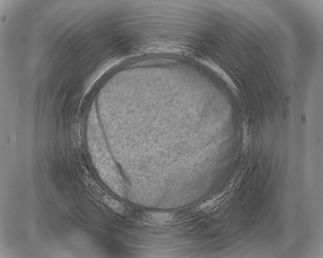 X0000081560878200702051146