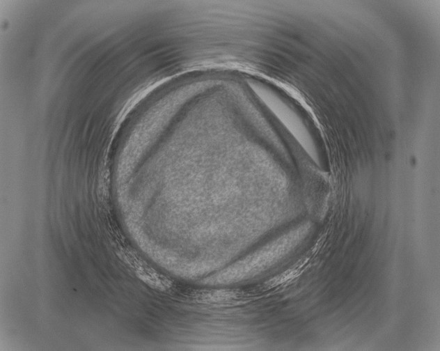 X0000081560879200702051146