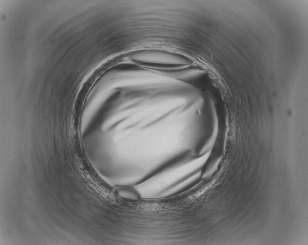 X0000081560880200702051146