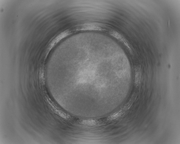 X0000081560882200702051146