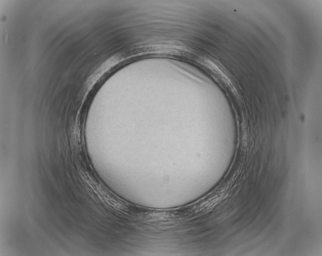 X0000081560883200702051146