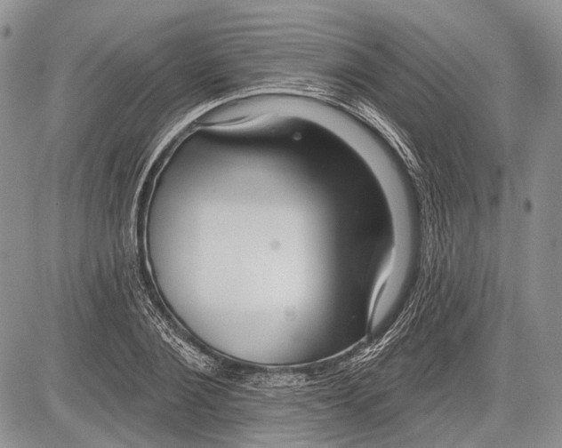 X0000081560884200702051146