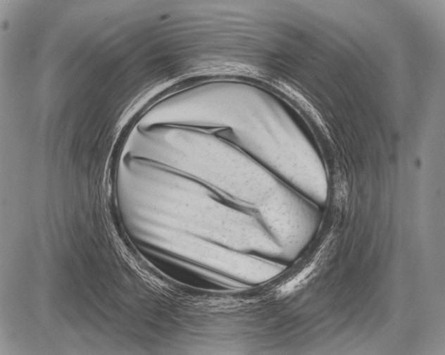 X0000081560885200702051146