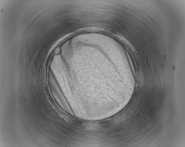 X0000081560886200702051146