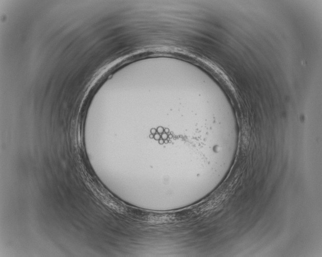 X0000081560887200702051146