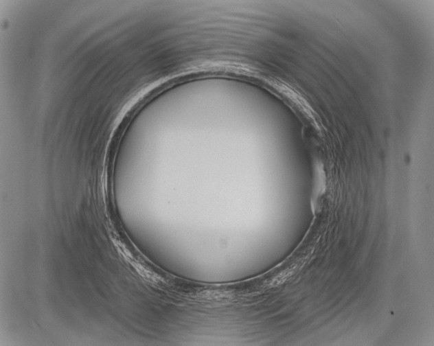 X0000081560888200702051146