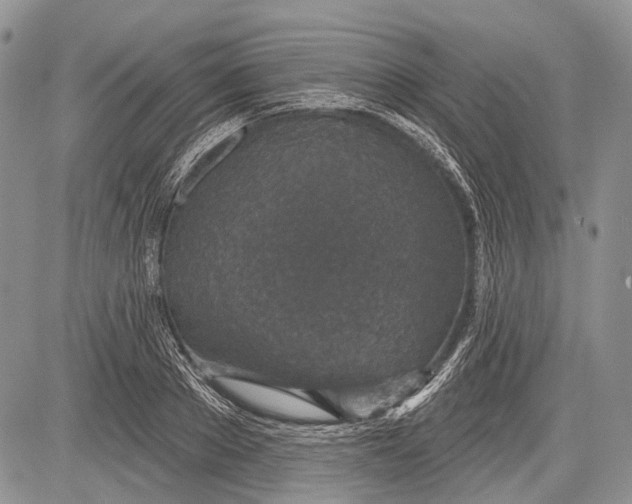 X0000081560889200702051146