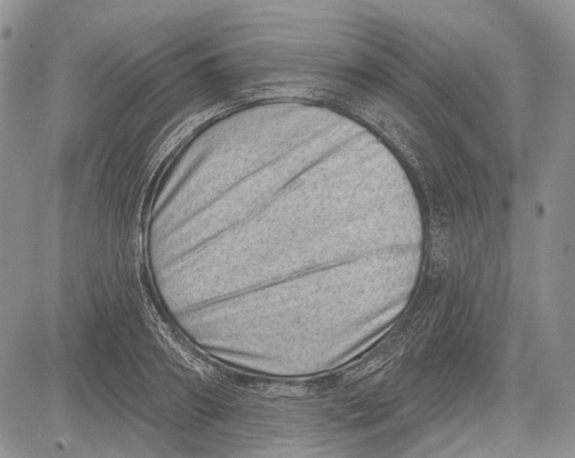 X0000081560890200702051146