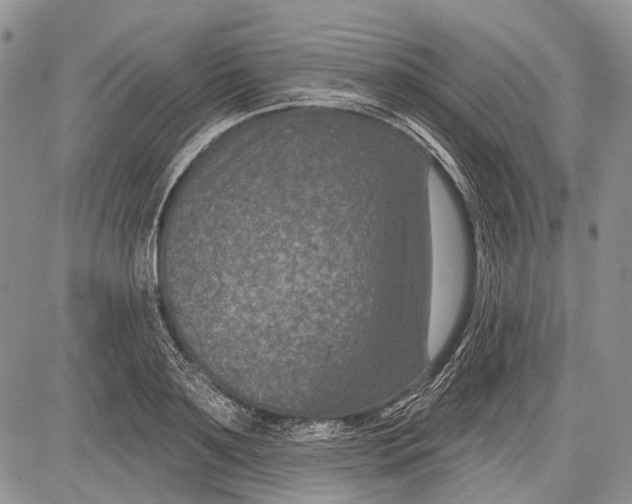 X0000081560891200702051146