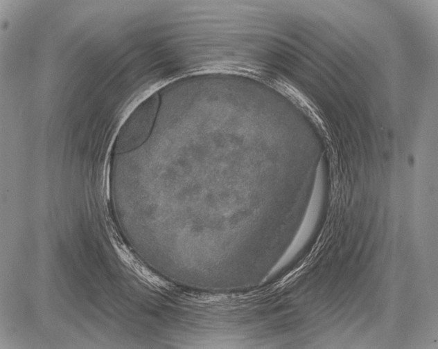 X0000081560892200702051146