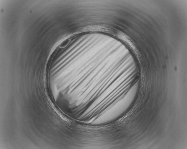 X0000081560894200702051146