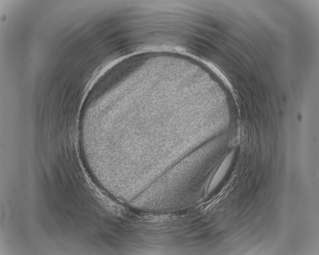 X0000081560895200702051146