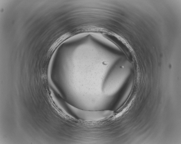 X0000081560897200702051146