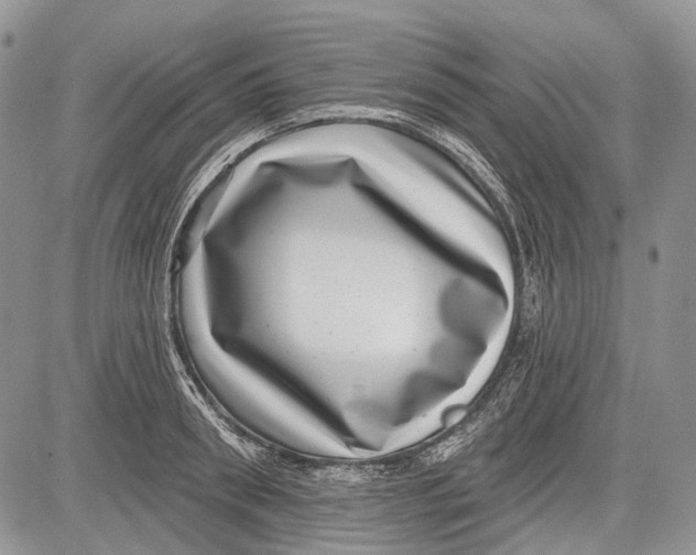 X0000081560898200702051146