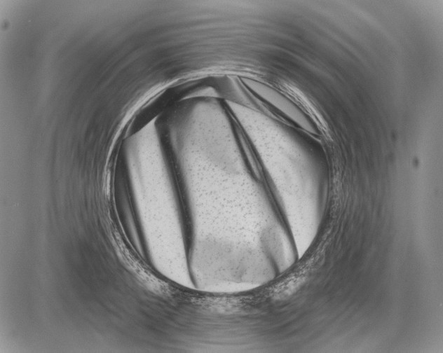 X0000081560900200702051146