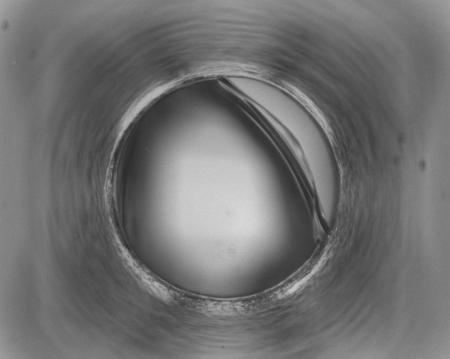 X0000081560901200702051146