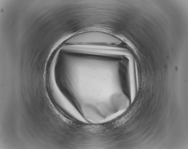 X0000081560902200702051146