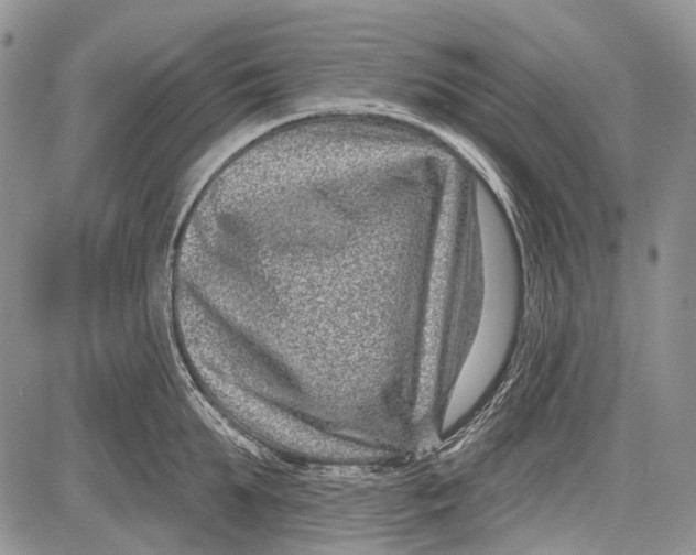 X0000081560903200702051146