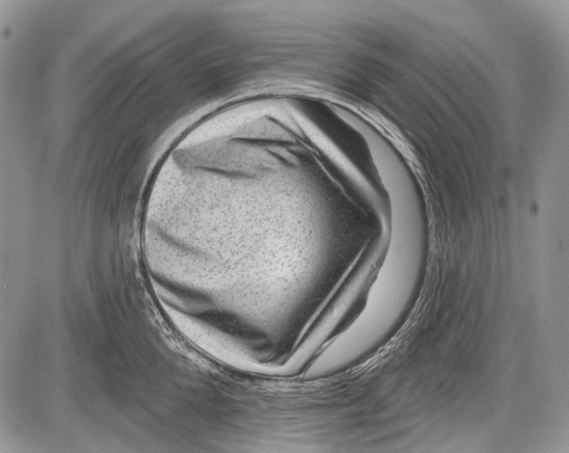 X0000081560904200702051146