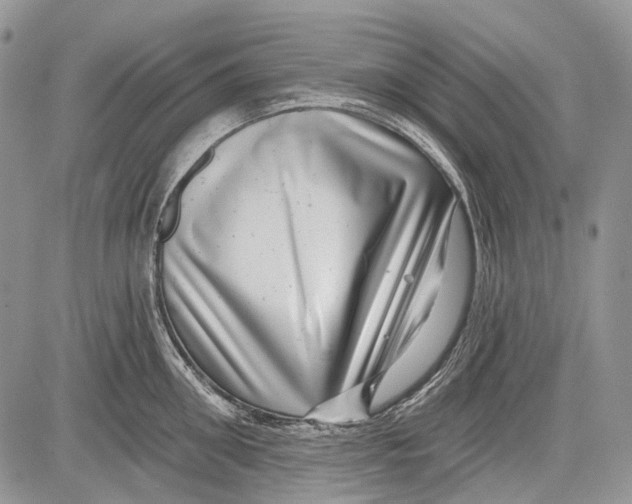 X0000081560906200702051146