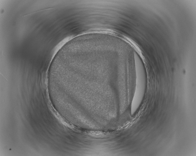 X0000081560907200702051146