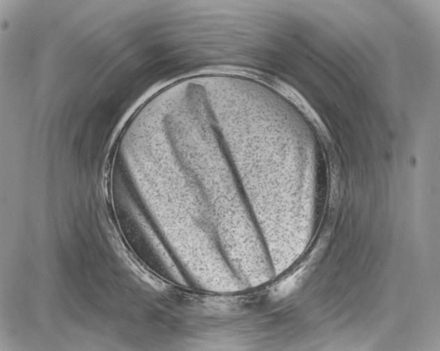 X0000081560908200702051146